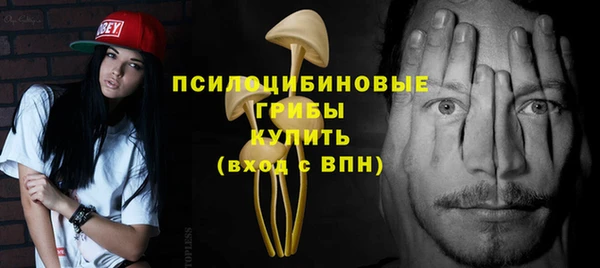 PSILOCYBIN Баксан