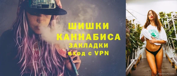 PSILOCYBIN Баксан